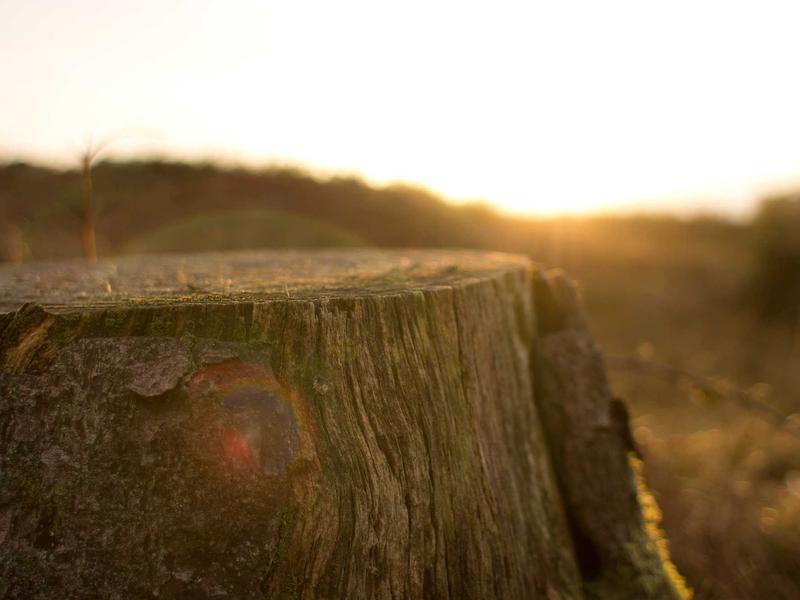 sudoku timer mode screenshot 5